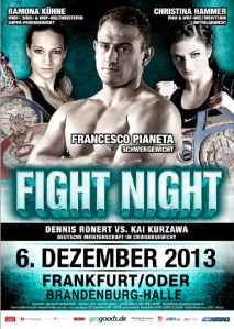 poster - FIght Night SES