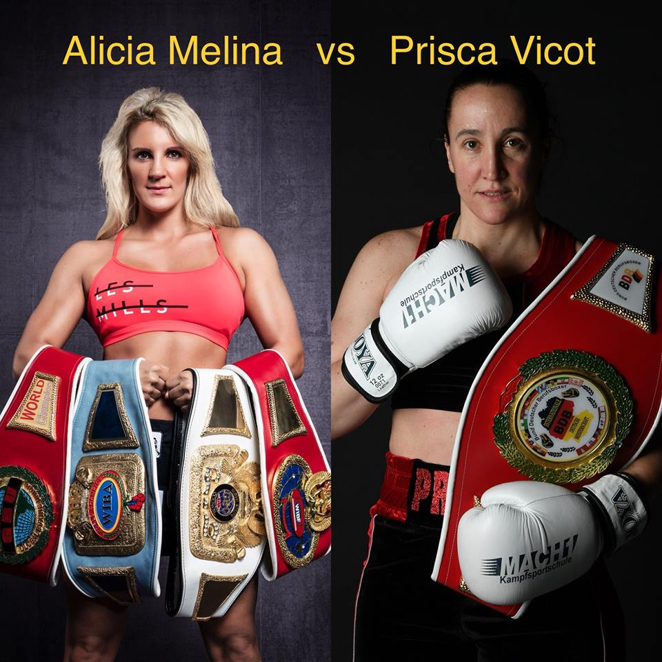 44339101_2251154548447618_8914225552223633408_n