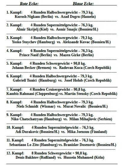 Fightcard 28.12